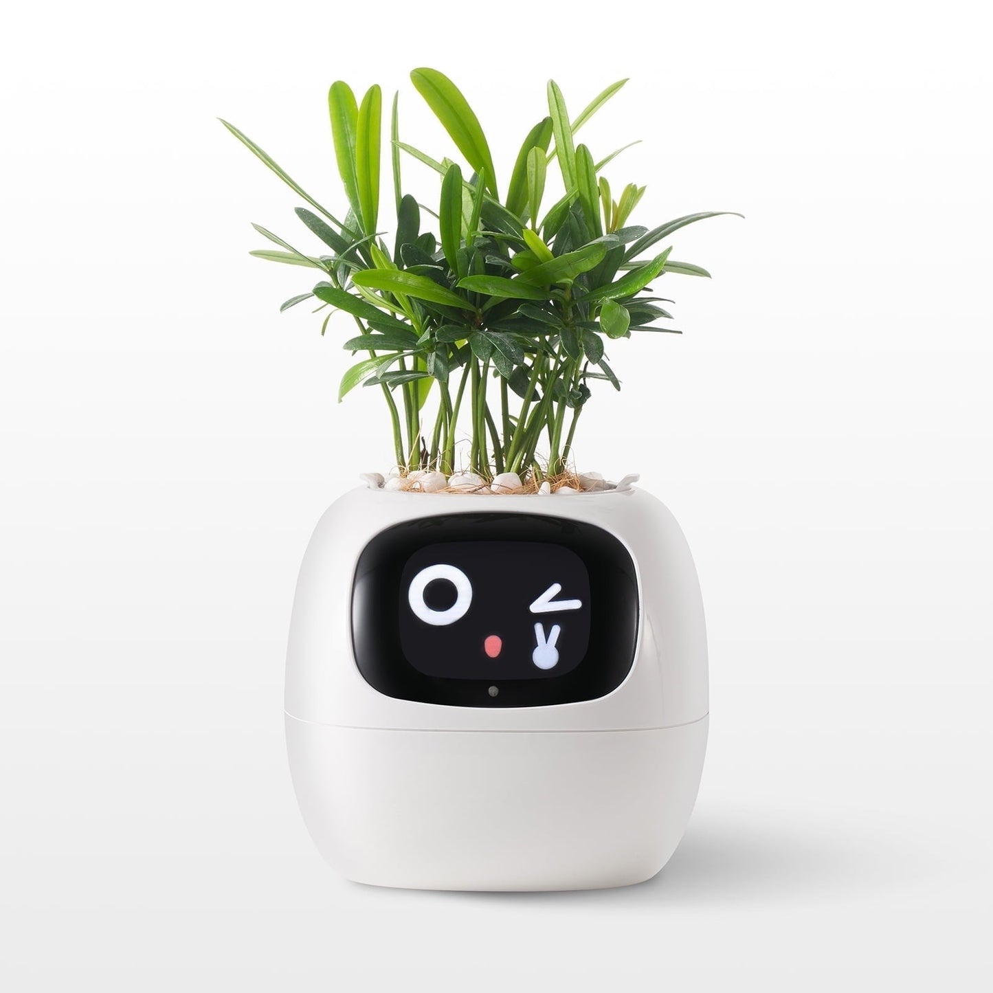 👑Top Trend|Daily 1000+ Sold|AI Smart Flowerpot