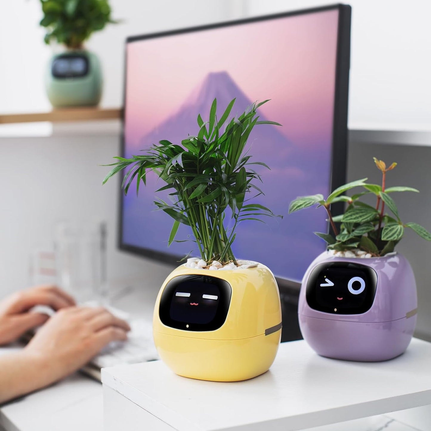 👑Top Trend｜Daily 1000+ Sold｜AI Smart Flowerpot