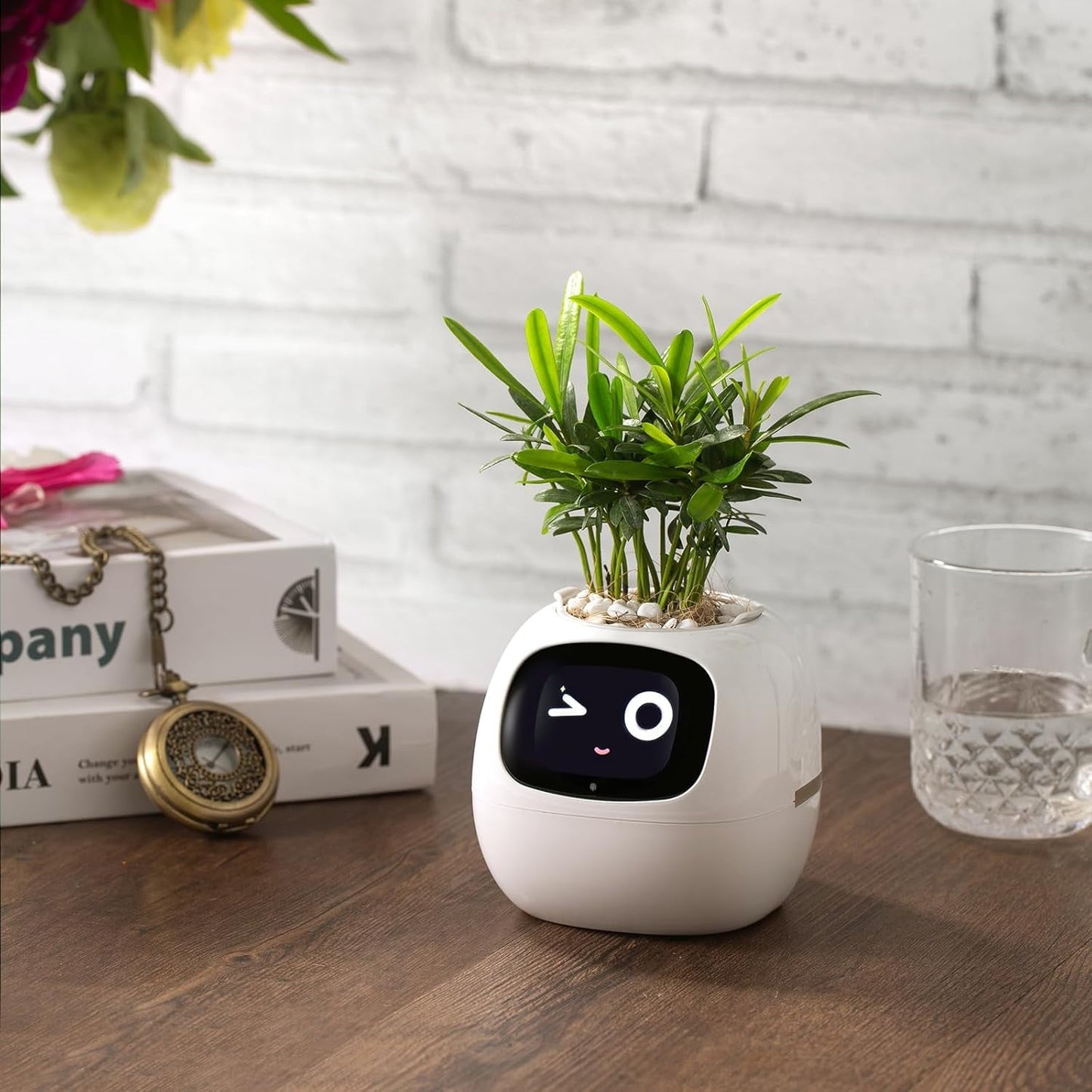 👑Top Trend｜Daily 1000+ Sold｜AI Smart Flowerpot