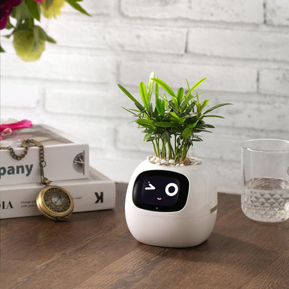👑Top Trend｜Daily 1000+ Sold｜AI Smart Flowerpot