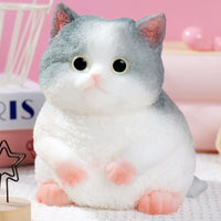 A Gray And White Cat