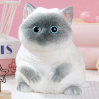 A Siamese Cat