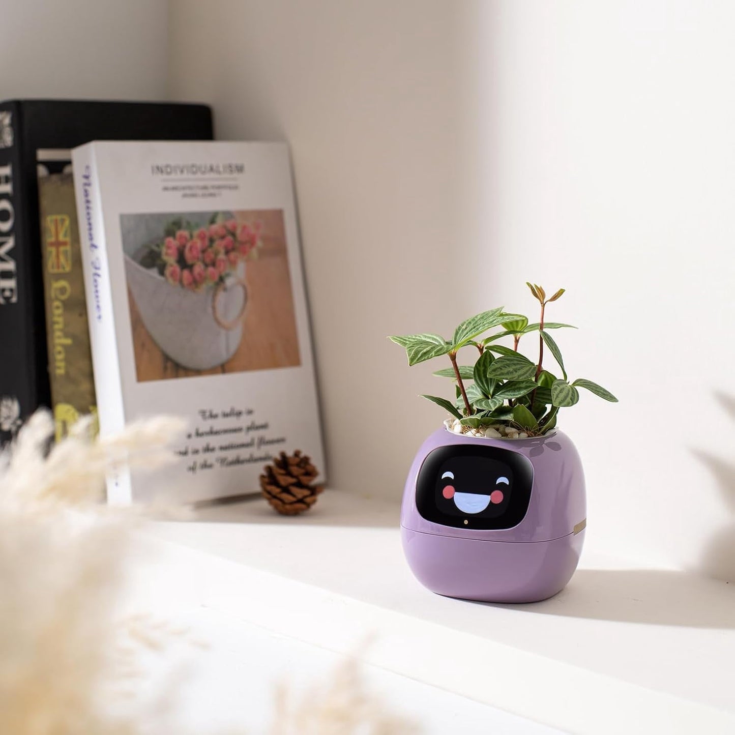 👑Top Trend｜Daily 1000+ Sold｜AI Smart Flowerpot