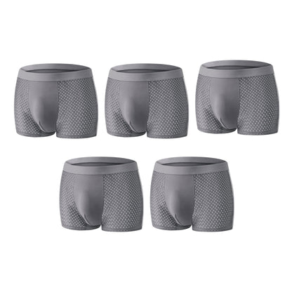Premium Leakproof Ice Silk Mesh Men's Boxer Briefs