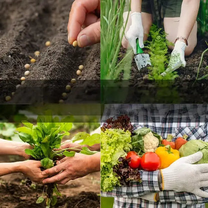 Grow Your Own Food – 35 Variety Vegetable Seed Vault, Heirloom Non-GMO Seeds for Garden & Survival 🏡🌿