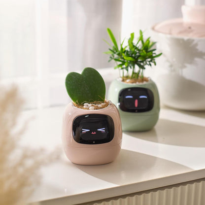 👑Top Trend｜Daily 1000+ Sold｜AI Smart Flowerpot