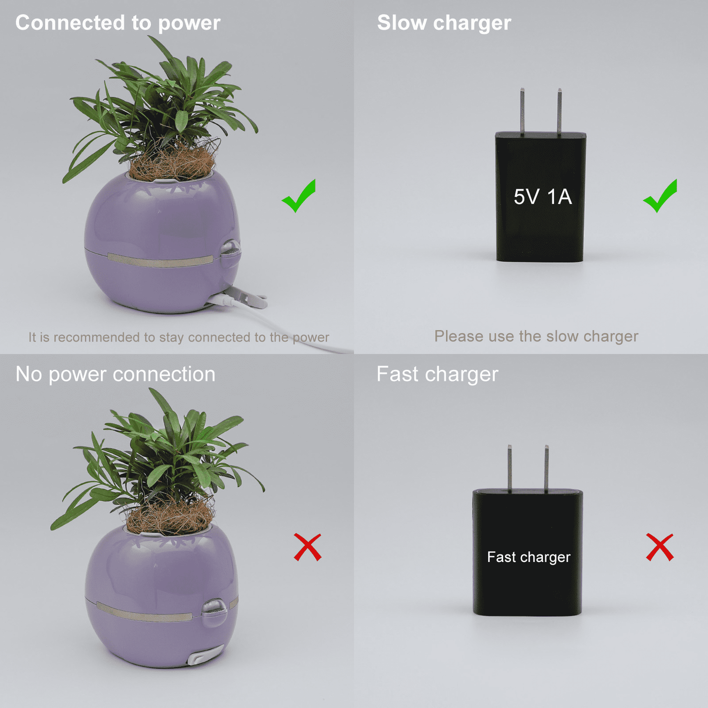 👑Top Trend｜Daily 1000+ Sold｜AI Smart Flowerpot