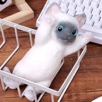 B Siamese Cat