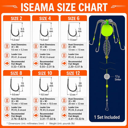 Carp & Catfish Bait Cage Rig – Anti-Snag Off-Bottom Design with Floating Hooks & Stable Weight 🎯