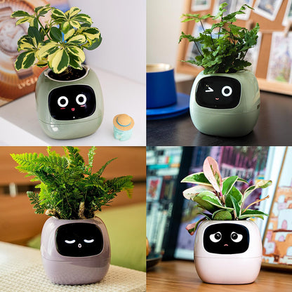 👑Top Trend｜Daily 1000+ Sold｜AI Smart Flowerpot