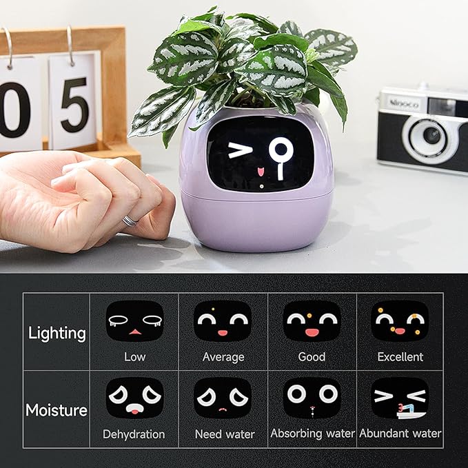 👑Top Trend｜Daily 1000+ Sold｜AI Smart Flowerpot