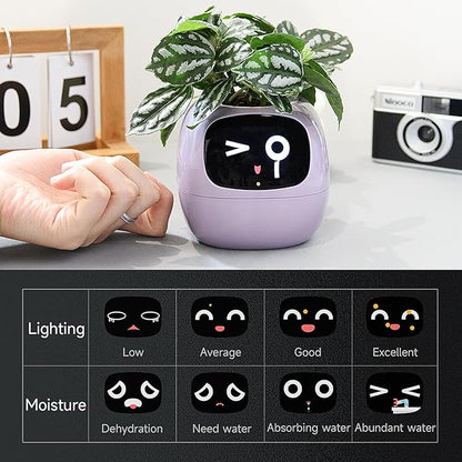 👑Top Trend｜Daily 1000+ Sold｜AI Smart Flowerpot