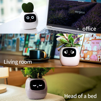 👑Top Trend｜Daily 1000+ Sold｜AI Smart Flowerpot