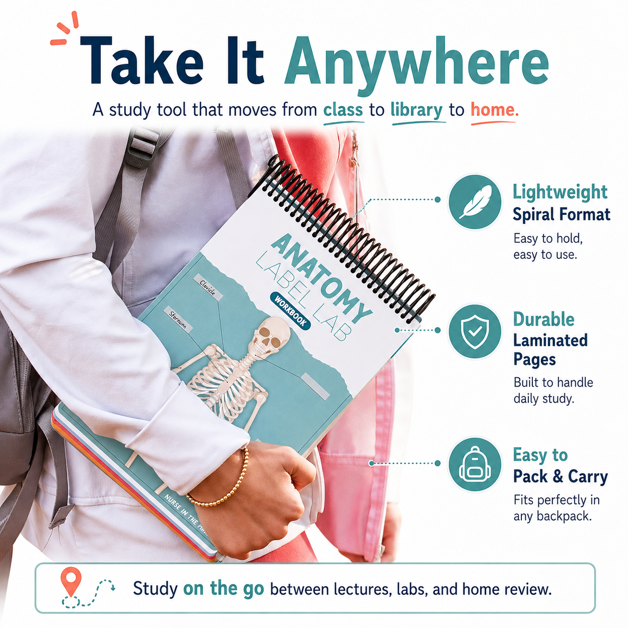 Anatomy Label Lab Workbook – Reusable Anatomy Study Guide