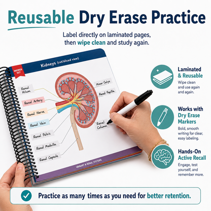 Anatomy Label Lab Workbook – Reusable Anatomy Study Guide