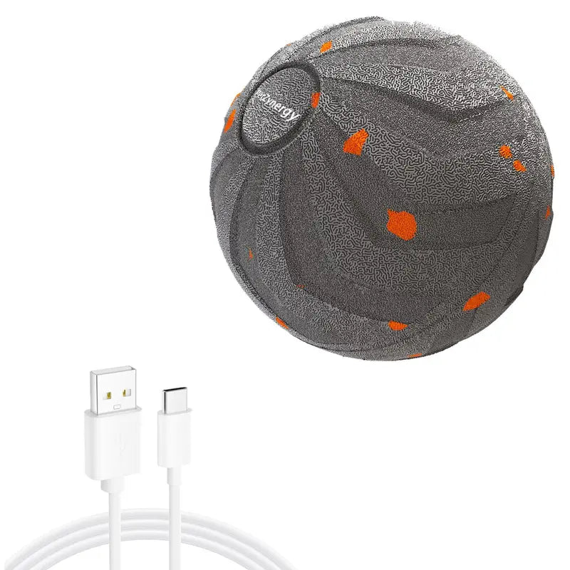 Smart Interactive Dog Toy