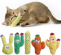 Set of 5