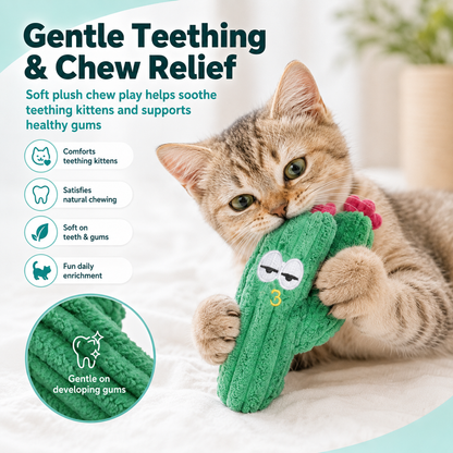 Cactus 5-Pack Cat Toy Set – Herb Filled, Teething Friendly, Natural Stimulation