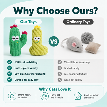 Cactus 5-Pack Cat Toy Set – Herb Filled, Teething Friendly, Natural Stimulation