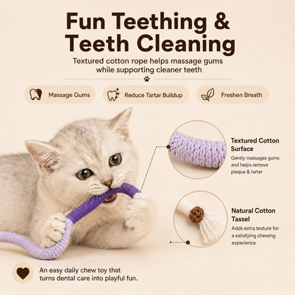 🧶Interactive Kitty Ropes – 3 safe chew toys for indoor cats, calming & fun.