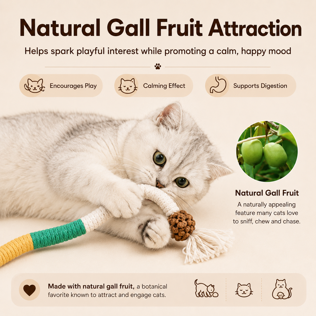 🧶Interactive Kitty Ropes – 3 safe chew toys for indoor cats, calming & fun.
