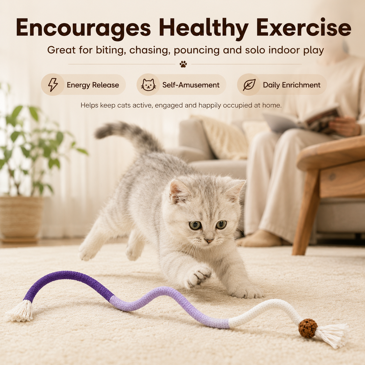 🧶Interactive Kitty Ropes – 3 safe chew toys for indoor cats, calming & fun.