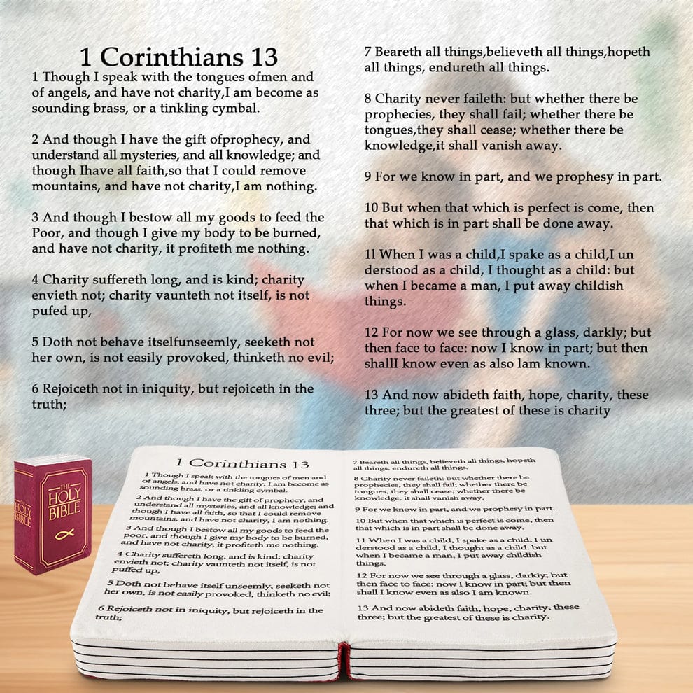 The Holy Bible Squishy Pillow