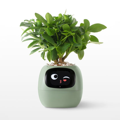👑Top Trend｜Daily 1000+ Sold｜AI Smart Flowerpot