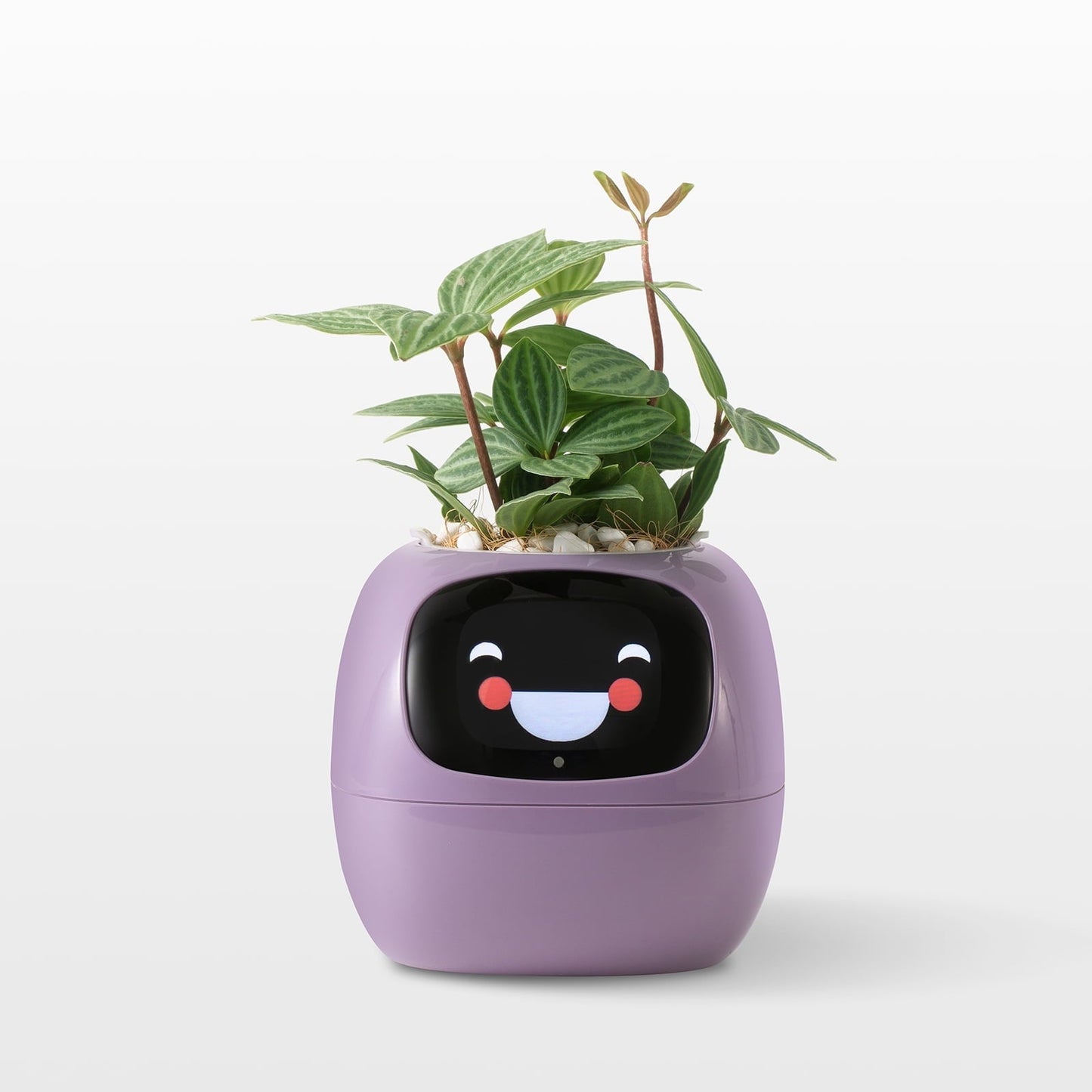 👑Top Trend｜Daily 1000+ Sold｜AI Smart Flowerpot