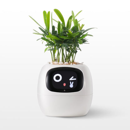👑Top Trend｜Daily 1000+ Sold｜AI Smart Flowerpot