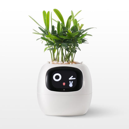 👑Top Trend｜Daily 1000+ Sold｜AI Smart Flowerpot