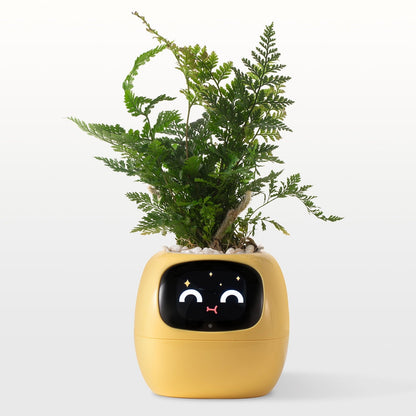 👑Top Trend｜Daily 1000+ Sold｜AI Smart Flowerpot