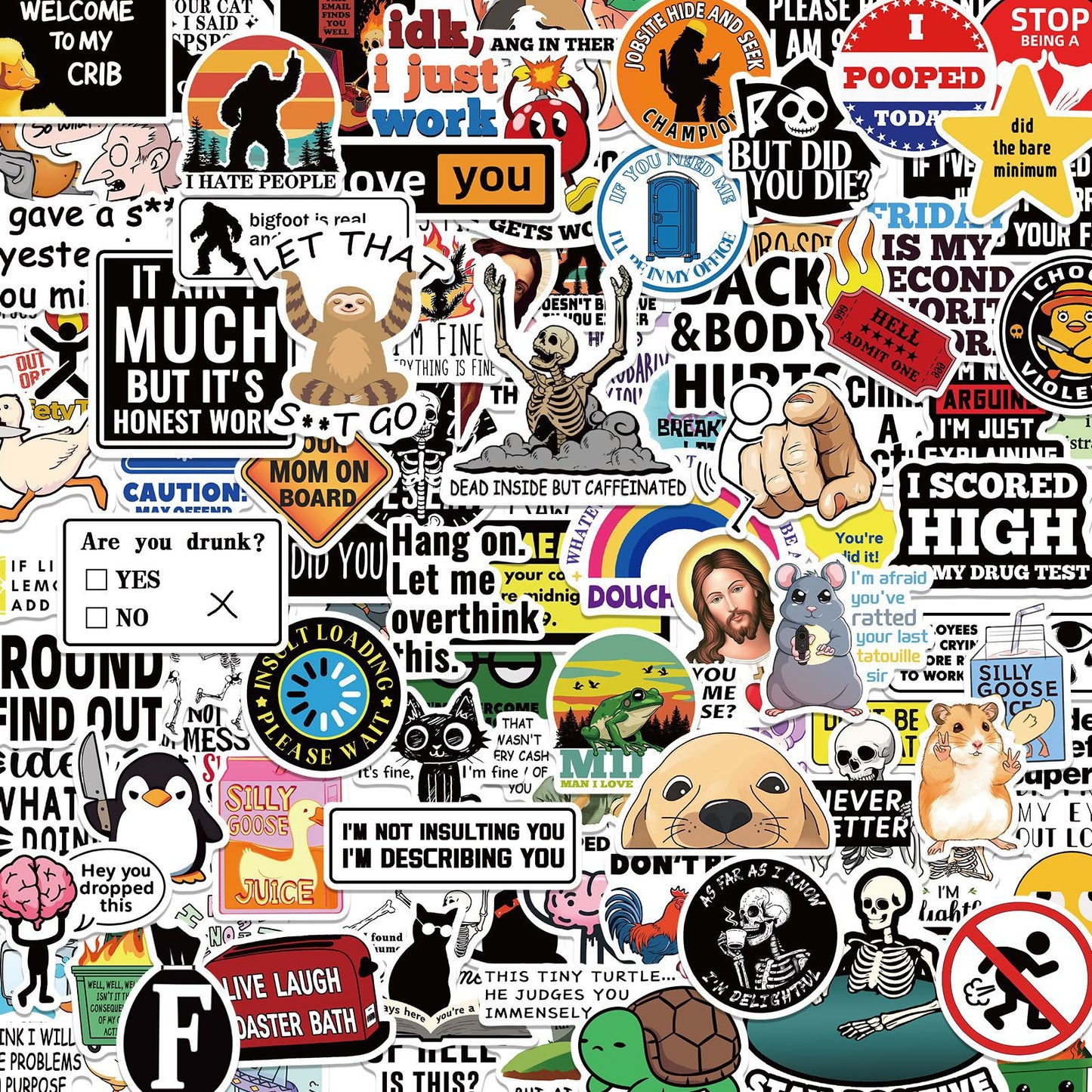 🔥 Set of 300 Pcs Funny Saying Stickers