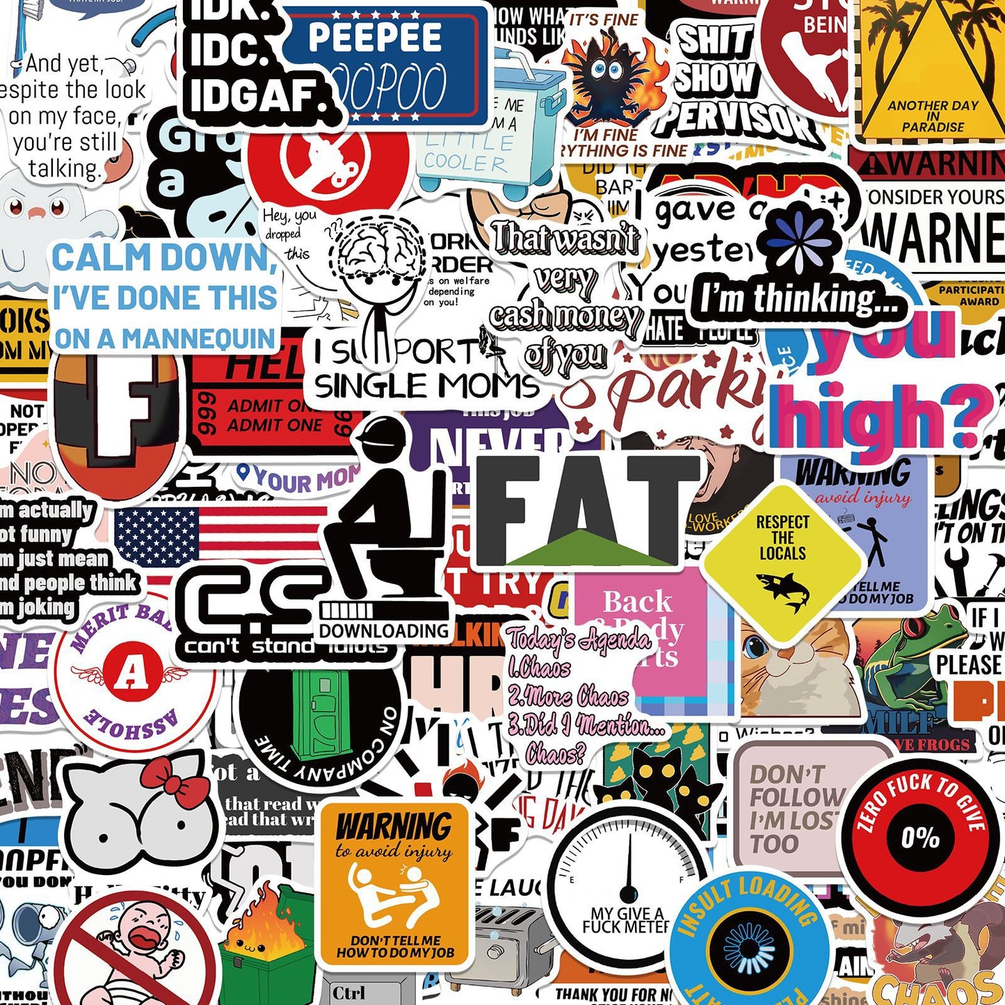 🔥 Set of 300 Pcs Funny Saying Stickers