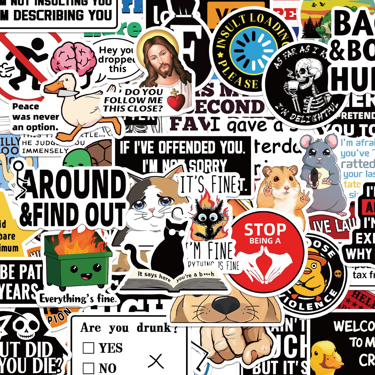 🔥 Set of 300 Pcs Funny Saying Stickers