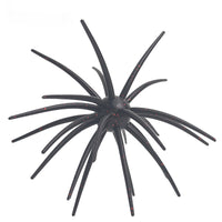 Black Red Flash