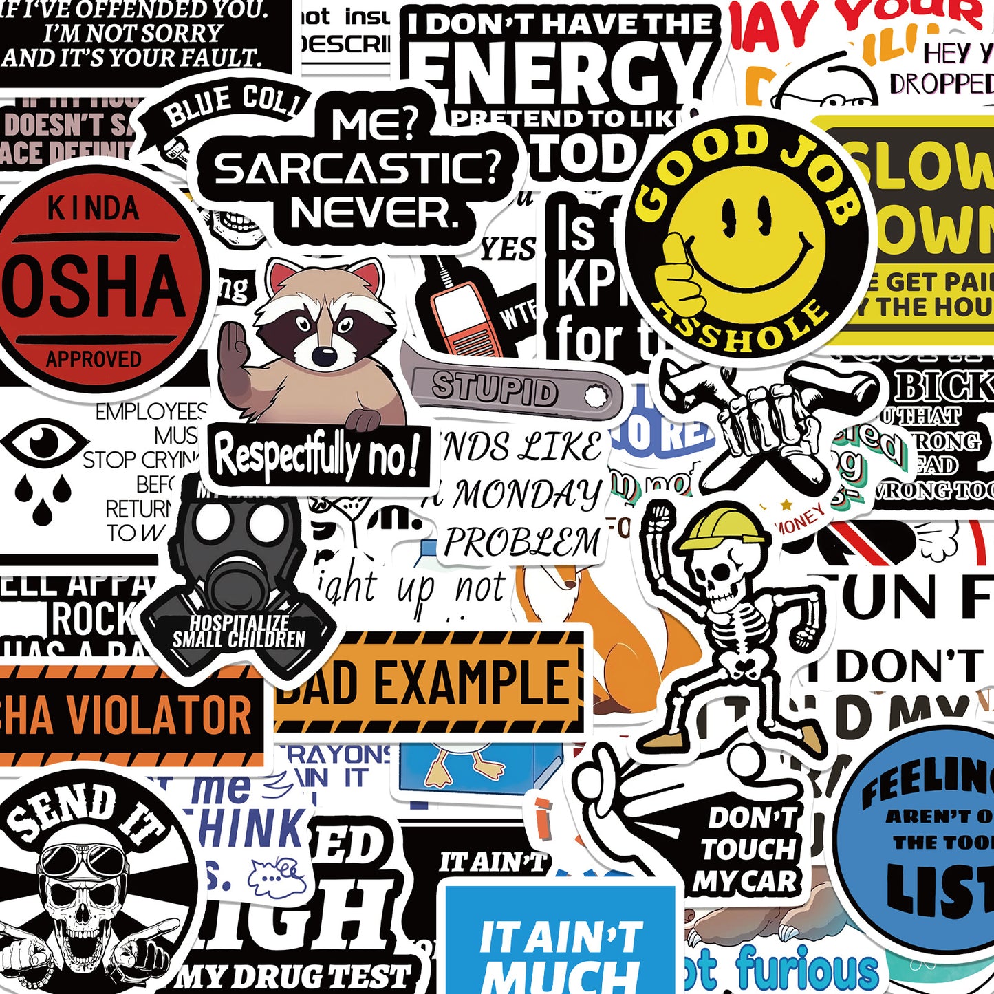 🔥 Set of 300 Pcs Funny Saying Stickers