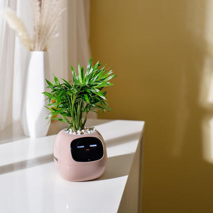 👑Top Trend｜Daily 1000+ Sold｜AI Smart Flowerpot