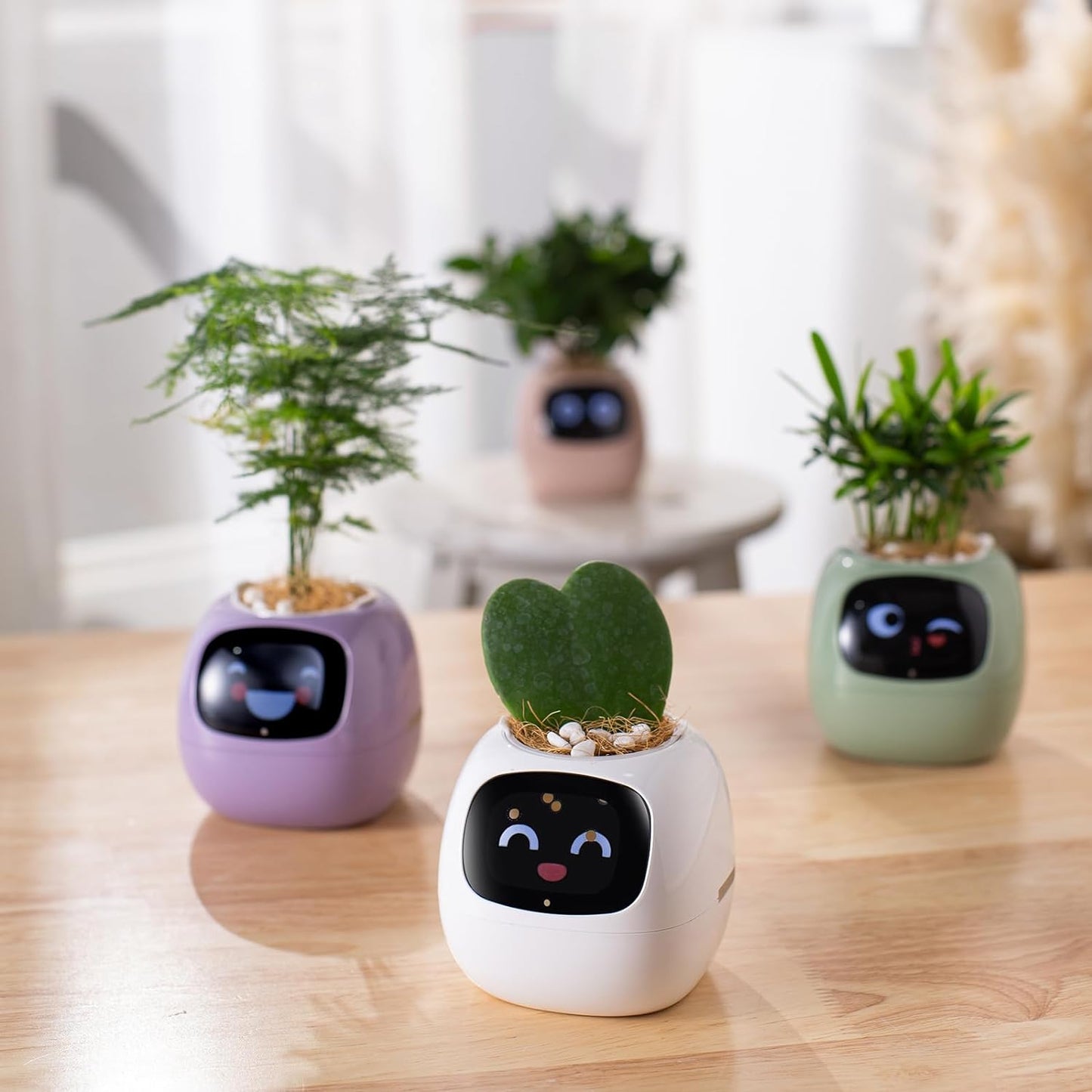 👑Top Trend｜Daily 1000+ Sold｜AI Smart Flowerpot